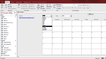 Image 0 for Microsoft Access Calendar…