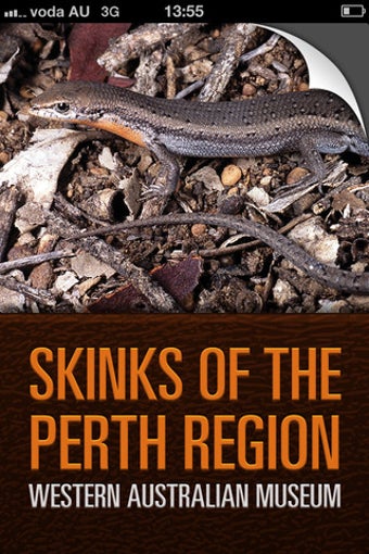 Image 0 for Perth Skinks