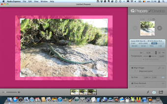 Image 2 for Hydra Pro