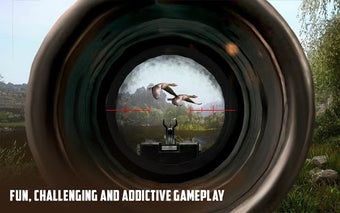 Image 2 for Wild Duck Hunting 2019