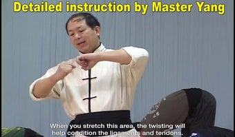 Imagen 1 para Shaolin Kung Fu