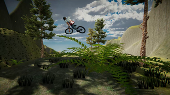 Image 0 for 218 Trails for Descenders