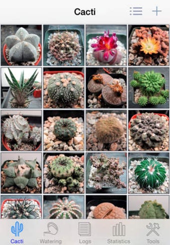 Image 0 for Cactus Album - Track your…