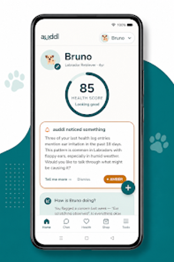 Image 0 for auddlpet health intellige…