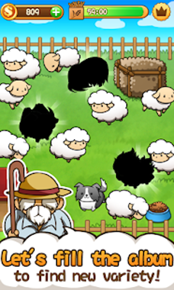 Image 1 for Baw Wow sheep collection