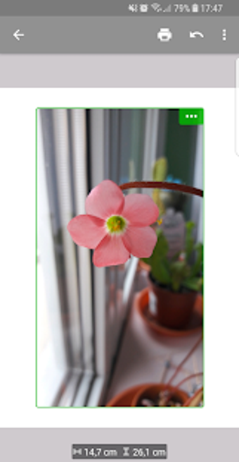 Imagen 1 para Print adjuster