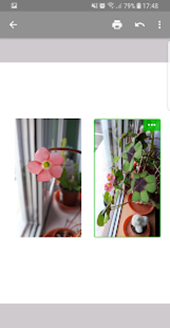 Imagen 2 para Print adjuster