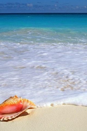 Image 1 for Beach and Coast Wallpaper…