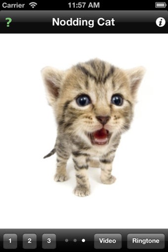 Image 0 for Nodding Cat
