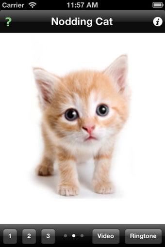 Image 1 for Nodding Cat