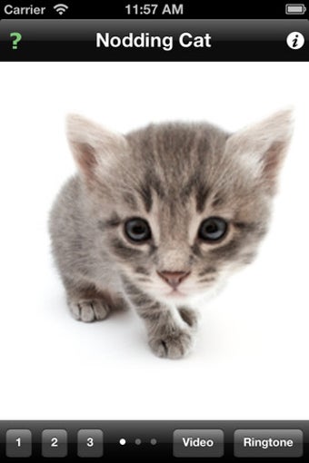 Image 2 for Nodding Cat
