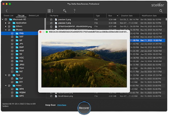 Image 2 for Stellar Data Recovery Pro…