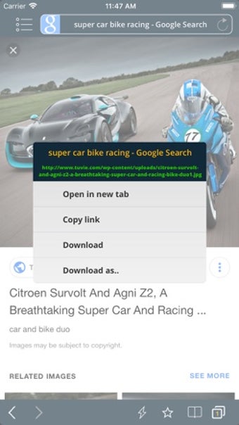 Image 1 for BrowserPro - Offline Play…