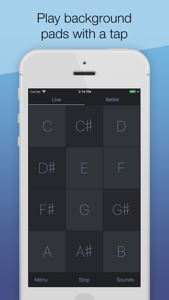 Image 1 for AutoPad  Ambient Pad Loop…