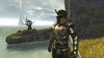 Image 0 for Divinity II: The Dragon K…