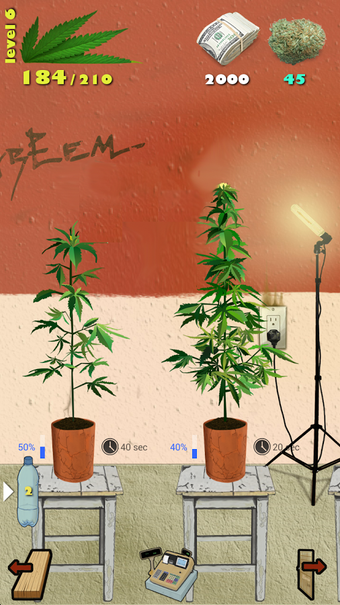 Image 0 for Weed Firm: RePlanted