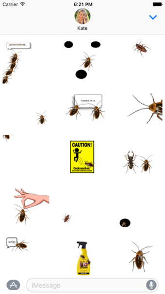 Image 2 for Moving Cockroach