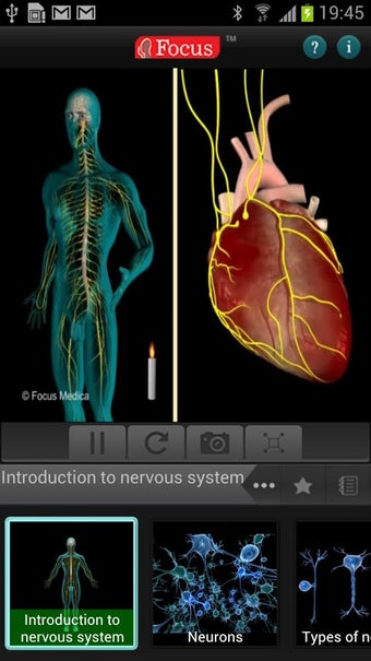 Imagen 3 para Anatomy & Physiology-Anim…
