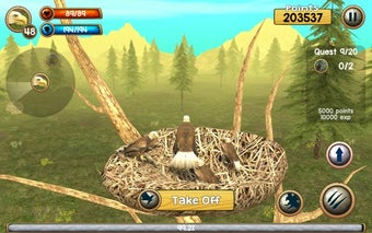 Image 0 for Wild Eagle Sim 3D