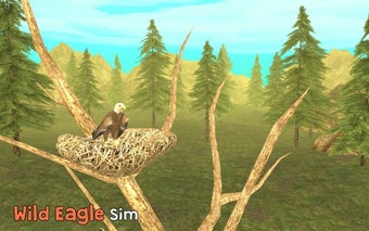 Imagen 1 para Wild Eagle Sim 3D