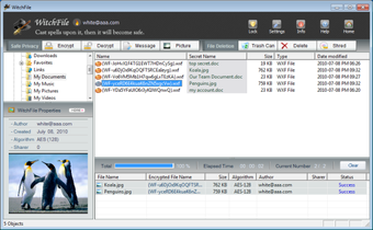 Image 0 for WitchFile