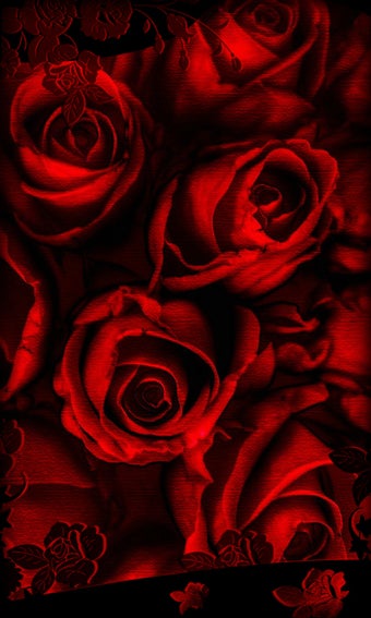 Imagen 4 para Roses Live Wallpaper
