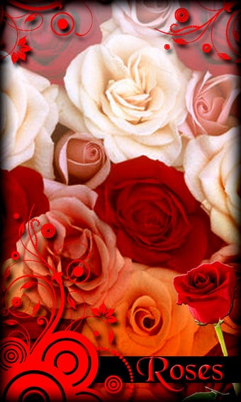 Imagen 1 para Roses Live Wallpaper