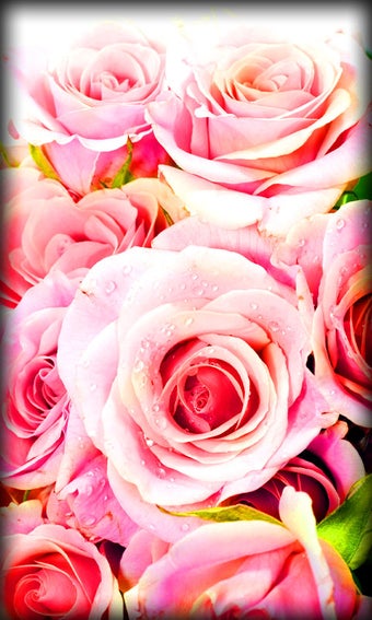 Imagen 3 para Roses Live Wallpaper