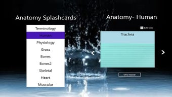 Image 1 for Anatomy Splashcards for W…