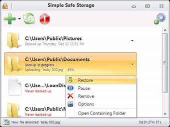 Image 0 for Simple Safe Storage