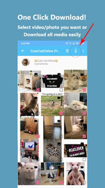 Image 0 for Video Downloader for Twit…