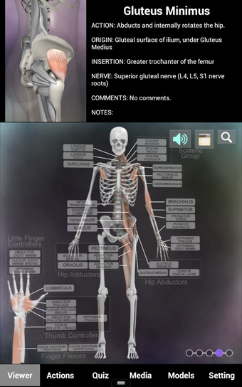 Imagen 7 para Muscle and Bone Anatomy 3…