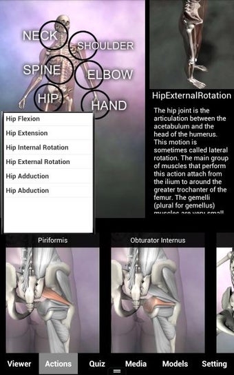 Imagen 6 para Muscle and Bone Anatomy 3…