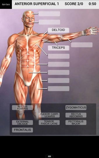 Imagen 0 para Muscle and Bone Anatomy 3…