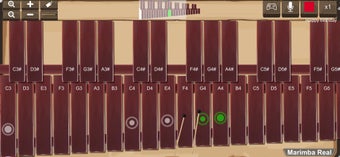 Image 1 for Marimba Real