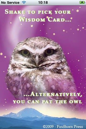 Imagen 0 para Wisdom Cards - Diana Coop…