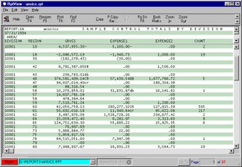 Image 0 for RptView32 (Report Viewer …