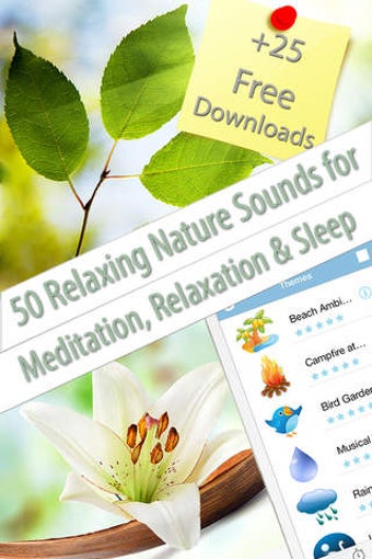Image 0 for Relaxing Nature Scenes Fr…