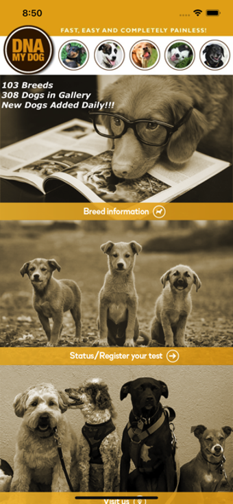 Image 2 for DNA My Dog