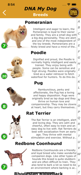 Image 1 for DNA My Dog