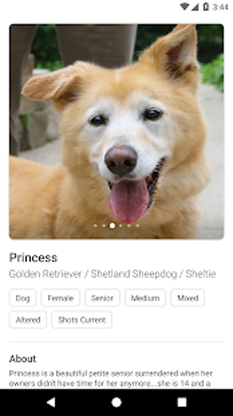 Imagen 3 para Petdoption - Adopt a resc…