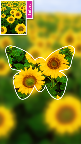 Image 1 for DSLR Camera Blur Backgrou…