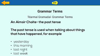 Imagen 2 para Irish Grammar