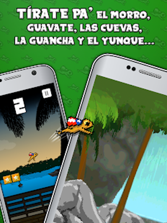 Image 3 for Dale Coqui - Puerto Rico …