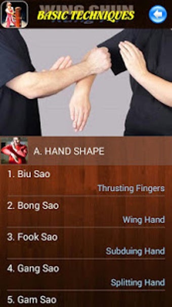 Image 2 for Wing Chun Kung Fu