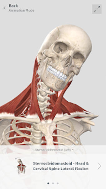 Image 1 for Complete Anatomy for Andr…