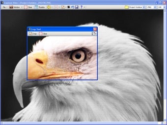 Image 5 for Capture View