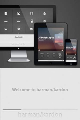 Image 0 for Harman Kardon Remote