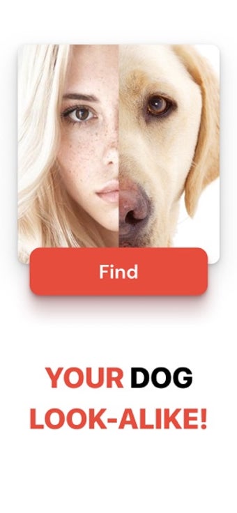 Image 0 for What Dog Do I Look Like ?…