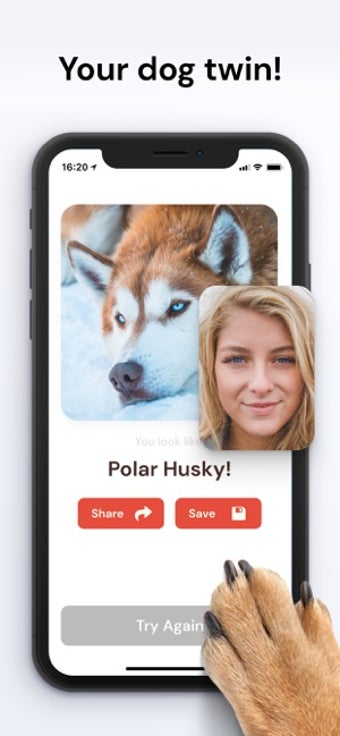 Image 3 for What Dog Do I Look Like ?…